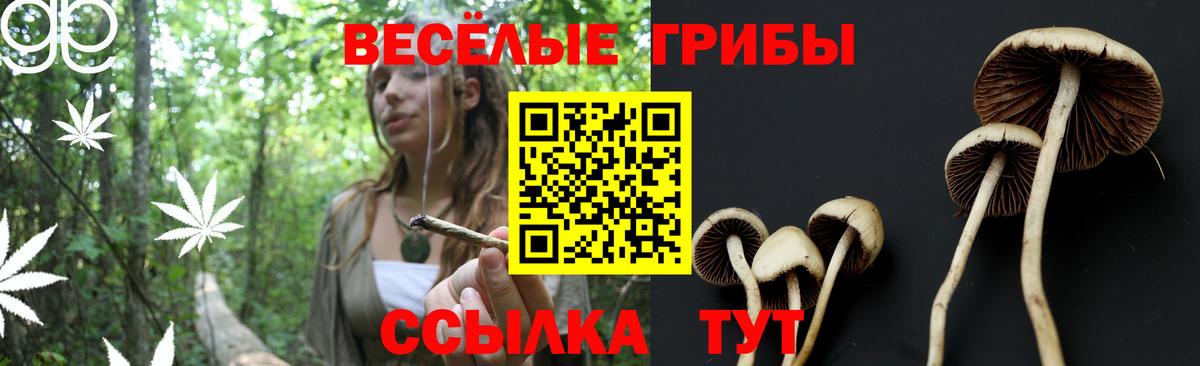 Галлюциногенные грибы Cubensis  Вход с VPN  Надым 